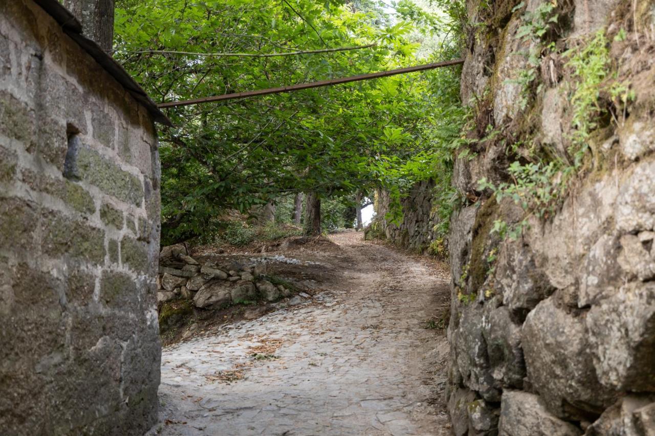 Casas Do Capitao - Paiva Valley - Pool And Nature 카스텔루 지 파이바 외부 사진